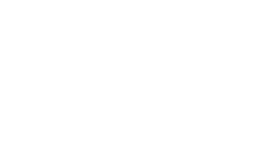 VETO Logo
